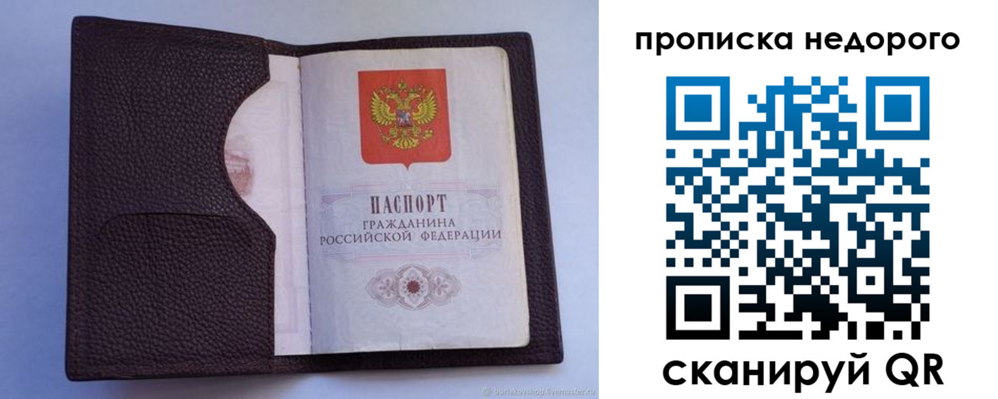 прописка законно в Волоколамске